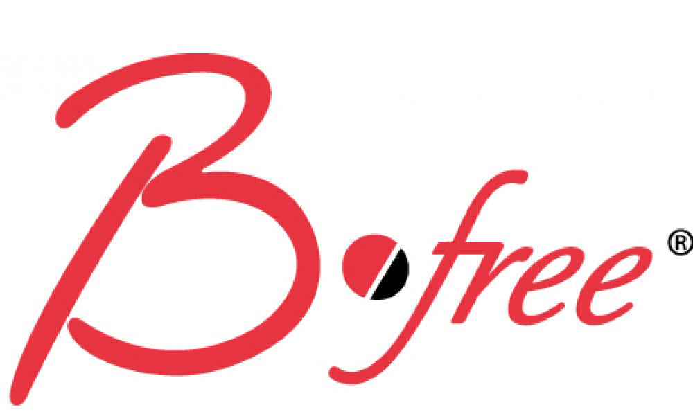 B-Free Window Films